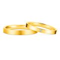 Classic Tungsten Carbide Inlaid 10K Gold Plated His and Hers Rings